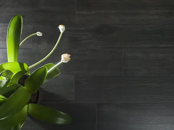 Интерьер Emigres Hardwood