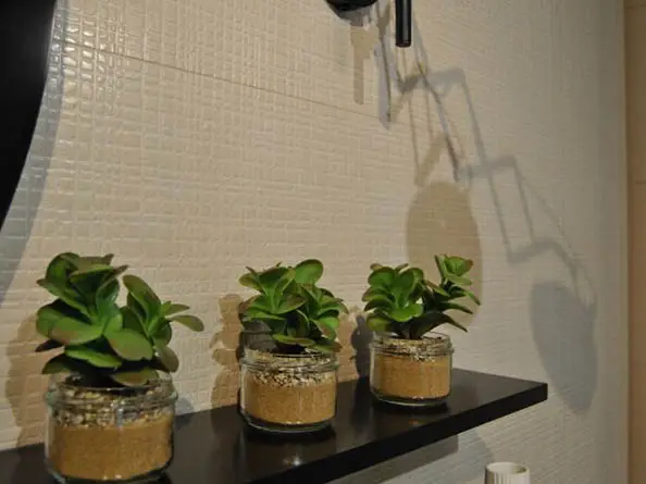 Интерьер Emigres Soft