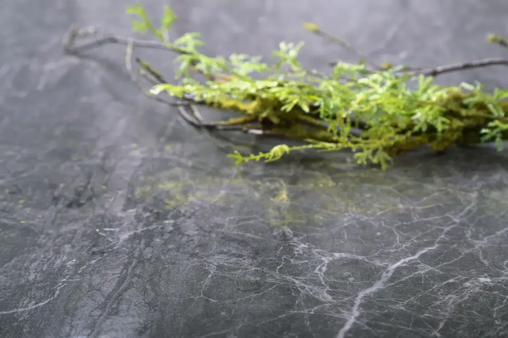 Интерьер Nt ceramic Havana - 12