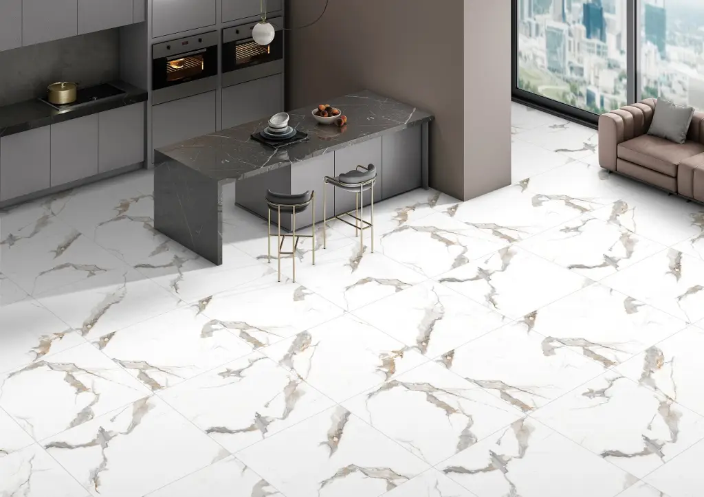 Интерьер Ocean Ceramic INDIA NEW India 60x60 - 13