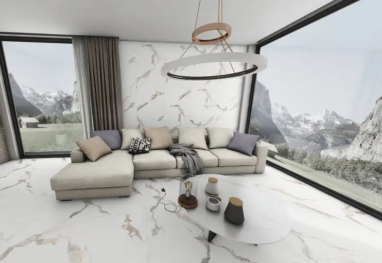 Интерьер Ocean Ceramic INDIA NEW India 60x60 - 5