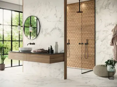 Porcelanite dos Iguazu 9547/1865 / Guiza 9549