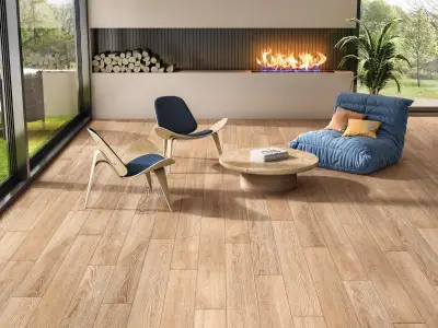 Ocean Ceramic INDIA NEW India 20x120