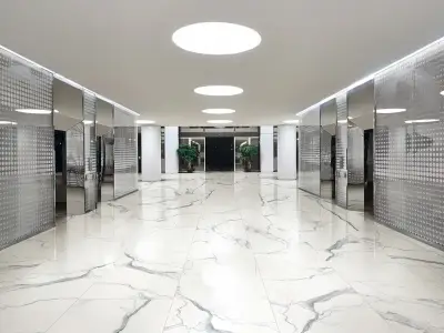 Rex Распродажа