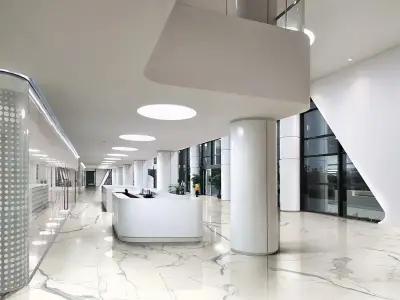 Rex Распродажа