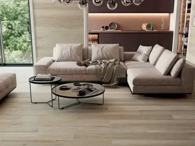 Porcelanite dos 6611