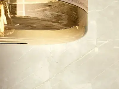 Porcelanite dos 1320
