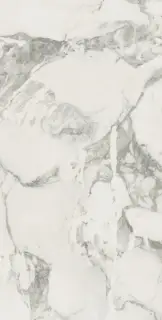 610010002746 Микеланджело Колд 60X120 Рет