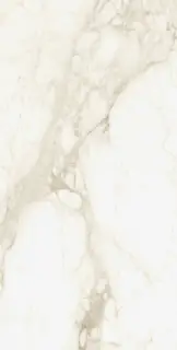 610010002745 Микеланджело Ворм 60X120 Рет