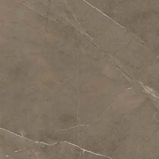 610010002696 Фьямма Бронз Рет 60х60