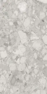 K948702R0001VTER SoftCeppo Серый Матовый R10A 60x120