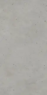 610010005694 Авангард Сильвер 60X120 Рет