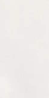 CAPRICE WHITE RECT 60X120