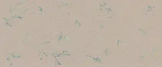 True Color Wind Flower Matt 50x120