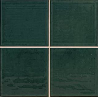 Керамическая плитка WB NAIROBI NOA GREEN 10X10