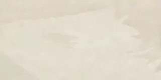 Coliseum Ardesia Керамогранит White 60x120 натуральный