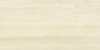 Italon Керамический гранит Charme Advance Floor Project Керамогранит Alabastro White 60x120 патинированный 