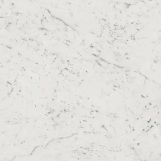 Italon Керамический гранит Charme Extra Floor Project Керамогранит Carrara 59x59 люкс