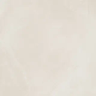 Italon Керамический гранит Continuum Керамогранит Polar 60x60 натуральный