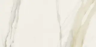 FLORIM-Luxury (Rex) I Classici Di Rex Керамогранит Calacatta Gold 60x120 полированный