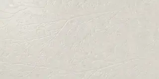 Divine White Rect 60x120