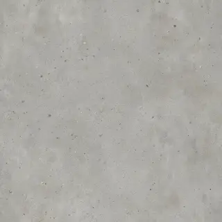 Avantgarde Silver 120x120