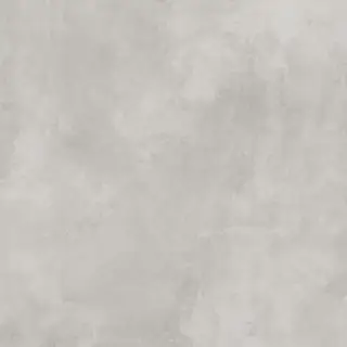 600010002377 Миллениум Сильвер 120X120 Рет