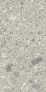 PORTRAITS BRERA 60X120 RT