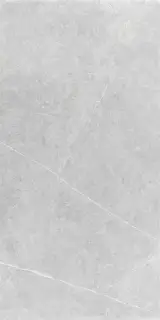 NORTHON LIGHT GREY MT 60X120