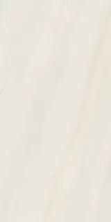 ANIMA WONDER SNOW 60X120 LISCIO MATT