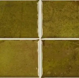 Керамическая плитка WB NAIROBI NOA MOSS 10X10