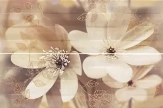 Paris Decor Otono-2 50х75