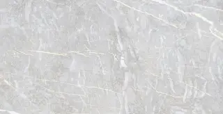 Coco Light Grey 60х120