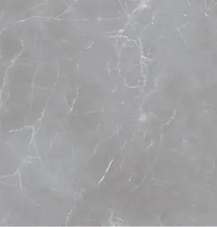 Arion Gray Dark 60х60 (59.7х59.7), 20мм