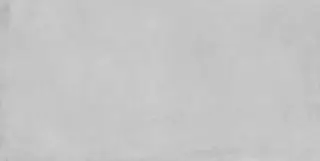 Iconic Perla 60х120