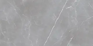 Arion Gray Dark 61х121 (Новая партия), 20мм