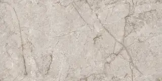 Infinity Nalon Grey 60х120