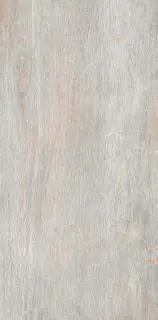 Fossil Perla Ret 60x120 (39уп)