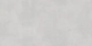 Millenium Light Gray 60х120