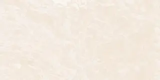 Liquidsilk Слоновая Кость Матовый R10a 60x120