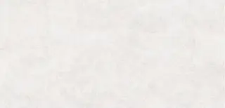 Sandbark Белый Матовый R11b 60x120