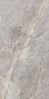 Majestic Grey Silky 60x120