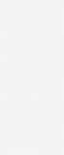 Monocolor sugar white wall 01 25х60