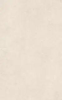 Эфа беж верх 01 25x40