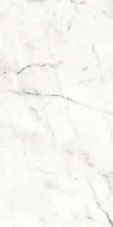 Marvel Statuario Supremo Matt |60x120