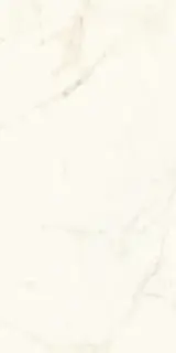 Marvel Calacatta Delicato Matt |60x120