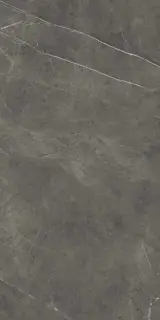 Marvel Grey Stone |60x120