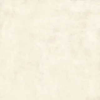 Gravity White XX 80x80