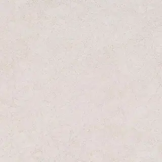 Сорбонна беж |50.2x50.2