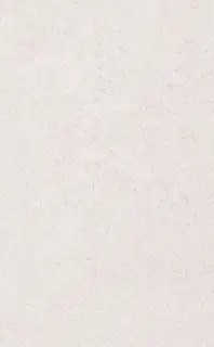 Сорбонна беж |25x40